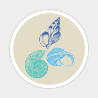 Seashell Nautical Ocean Summer Sea Magnet